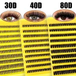 40D